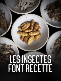 Les insectes font recette (2021)