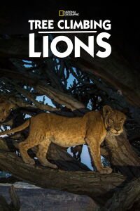Les lions des arbres (2018)