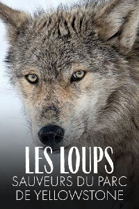 Les Loups, sauveurs du parc de Yellowstone (2018)