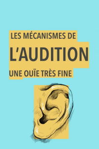 Les mécanismes de l'audition, une ouïe très fine (2020)