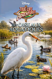Les Oiseaux Aquatiques (1952)