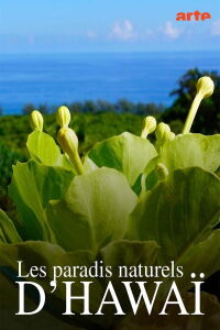 Les paradis naturels d’Hawaï (2022)