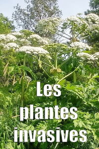 Les plantes invasives - Quel danger pour la planète et les humains ? (2014)