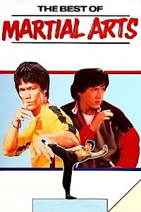 Les Plus Beaux Combats d'arts martiaux du monde (1990)