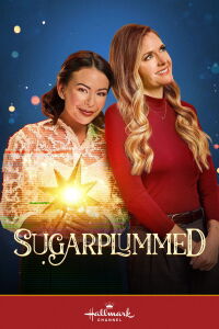 Les règles d'or d'un Noël parfait (2024)