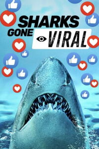 Les requins : nouvelles stars d'Internet (2024)