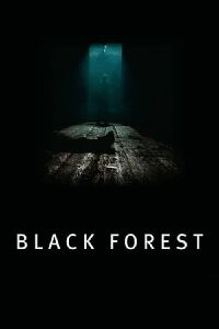 Les Secrets de la forêt noire (2012)