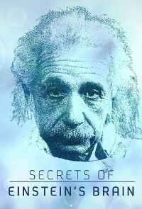 Les secrets du cerveau d'Einstein (2015)