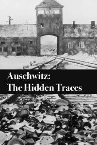 Les Traces d'Auschwitz (2022)
