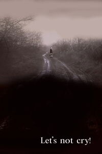 Let's Not Cry (2007)
