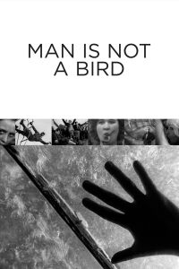 L'homme n'est pas un oiseau (1965)