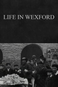 Life in Wexford (1902)