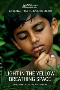 Light in the Yellow Breathing Space (2012)