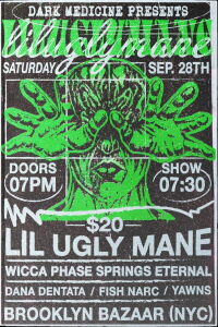 Lil Ugly Mane Live in Brooklyn NY (2019)