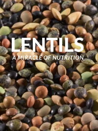 Linsen: Das Rezept gegen den Welthunger (2019)