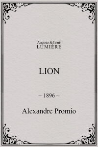 Lion, London Zoological Gardens (1896)