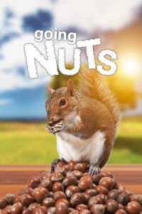 Locas por los frutos secos (2019)