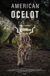 L’ocelot, un félin en danger (2021)