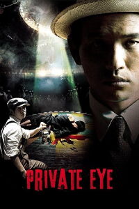 L'oeil du privé (2009)