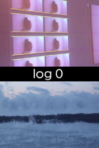 log 0 (2019)