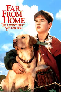 Loin de la maison (1995)