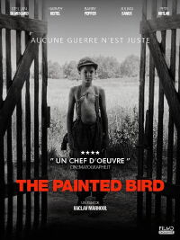 L'oiseau bariolé (2019)