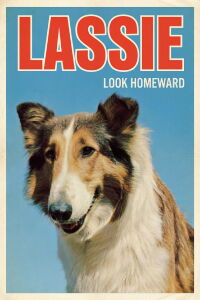 Look Homeward (1965)