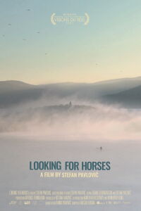 Looking for Horses (2021)