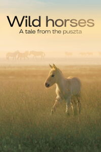 Los caballos salvajes de Hungria: Una historia de Puszta (2021)