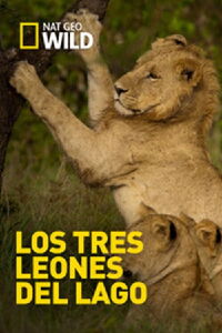 Los Tres Leones Del Lago (2014)