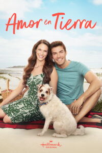 Love at the Shore (2017)