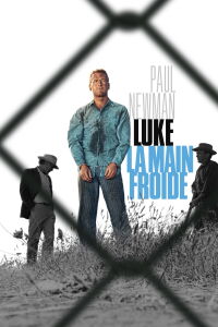 Luke la main froide (1967)