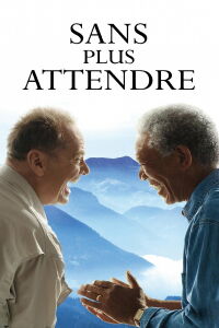 Maintenant ou jamais (2007)