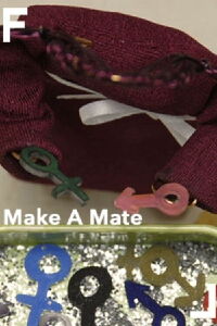 Make a Mate (2009)