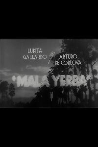 Mala yerba (1940)