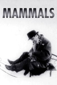 Mamíferos (1962)