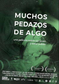 Many Pieces of Something (2015)