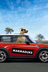 Marmaduke (2010)