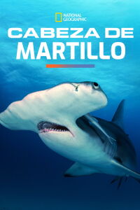 Mega Hammerhead (2016)