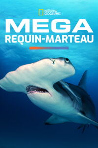 Méga requin-marteau (2016)