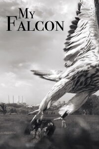 Mein Falke (2023)