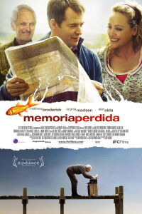 Memoria perdida (2008)