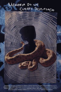 Memory of a Displaced Body (2024)