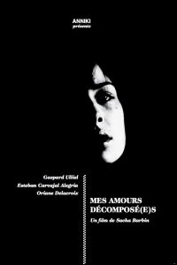 Mes amours décomposé(s) (2012)