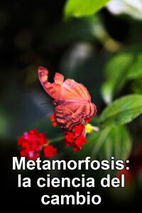 Metamorfosis: La ciencia del cambio (2013)