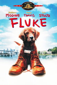 Mi amigo Fluke (1995)