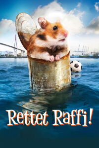 Mi amigo Raffi (2015)
