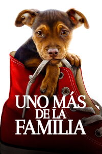 Mis Huellas a Casa (2019)