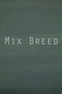 Mix Breed (2010)