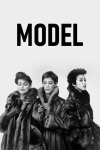 Model (1981)